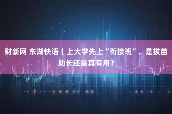 财新网 东湖快语｜上大学先上“衔接班”，是拔苗助长还是真有用？