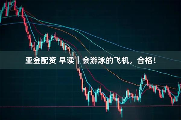 亚金配资 早读｜会游泳的飞机，合格！