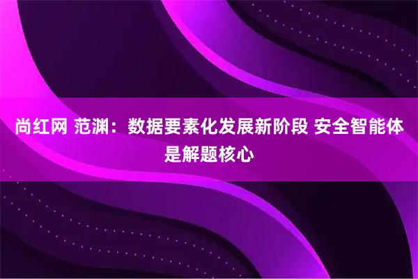 尚红网 范渊：数据要素化发展新阶段 安全智能体是解题核心