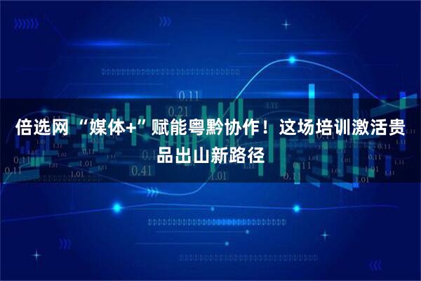 倍选网 “媒体+”赋能粤黔协作！这场培训激活贵品出山新路径